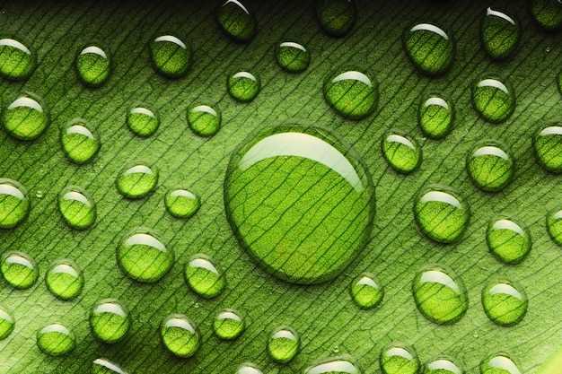 Prevents Heart Attacks