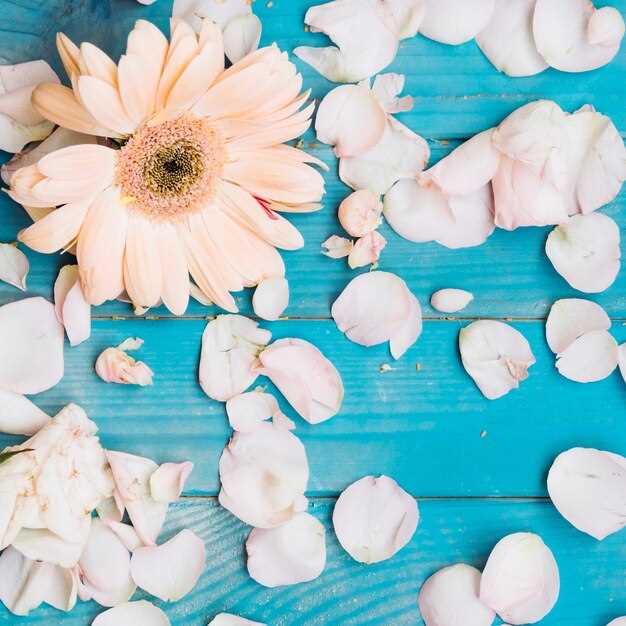 Consultation with healthcare provider