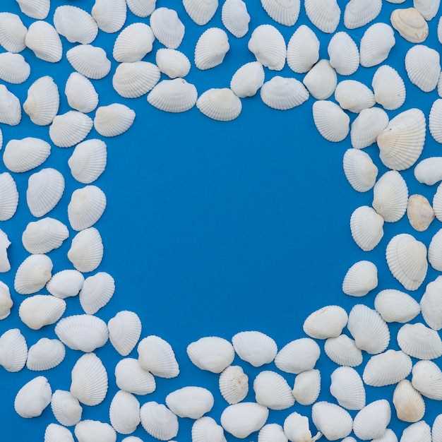 Metformin 500mg Features