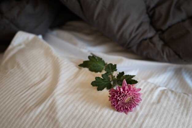 Improved Sleep Patterns