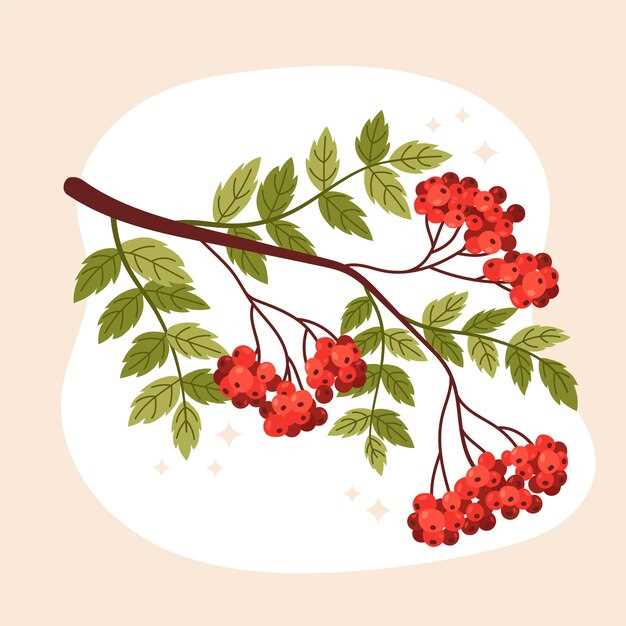 Mirtazapine Mechanism of Action