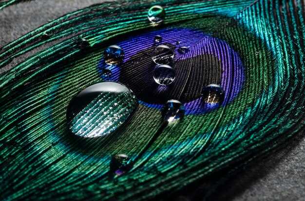 Potential Risks and Side Effects