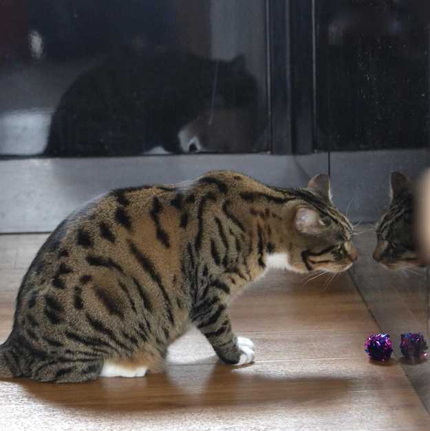 Rare but Serious Side Effects