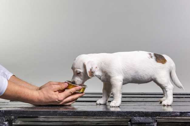 Behavioral Improvement