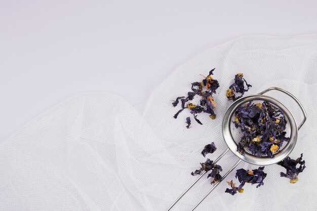 Customer Reviews and Testimonials