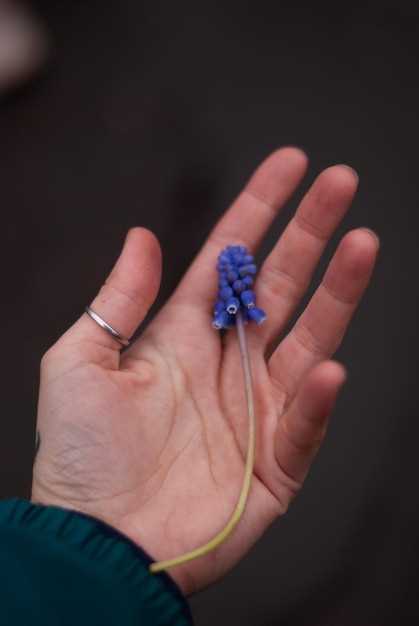 Study 2: Adverse Effects on Seizure Threshold