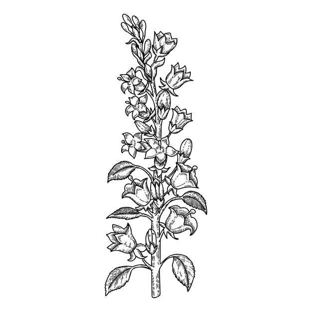 Main Uses of Mirtazapine