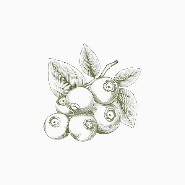 Potential Side Effects to Consider