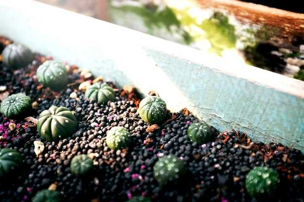 Monitoring and Management