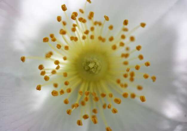 Relief from heartburn