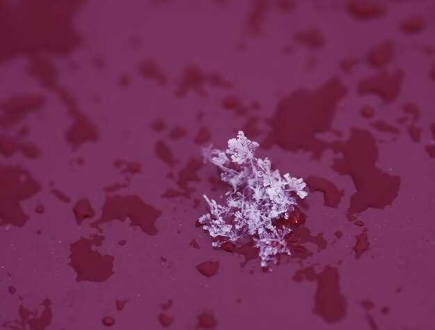 6. Monitoring and Follow-up