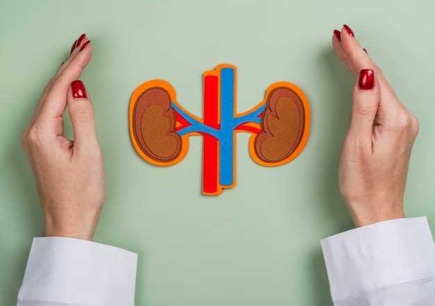 Kidney Function