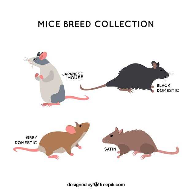 Effect on Blood Pressure