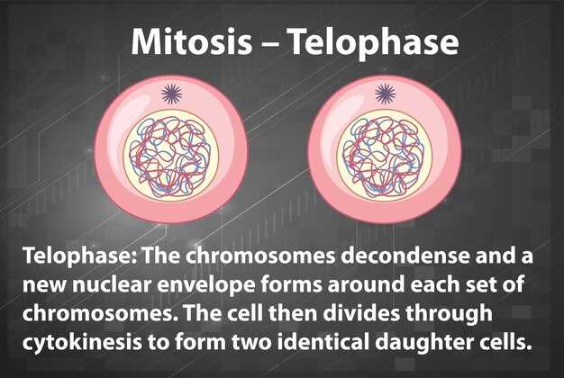 Overview of Tamsulosin