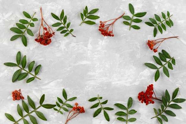 Benefits of Venlafaxine